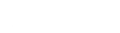 Vasckonet Services